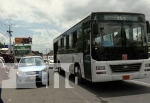 Foto: Velan por un mejor servicio de transporte en buses / TN8