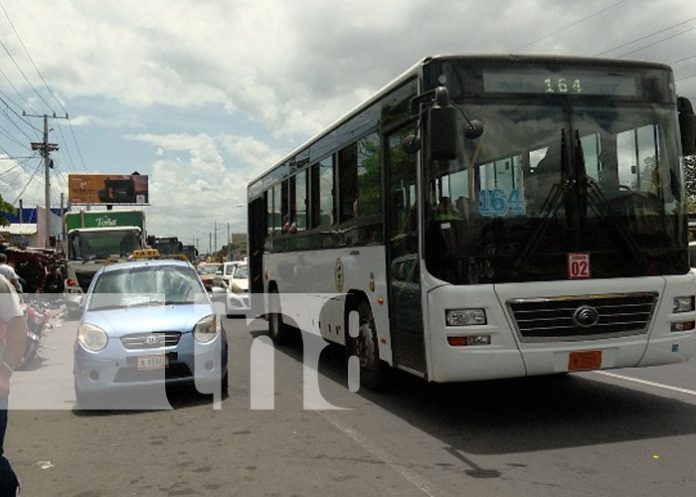 Foto: Velan por un mejor servicio de transporte en buses / TN8