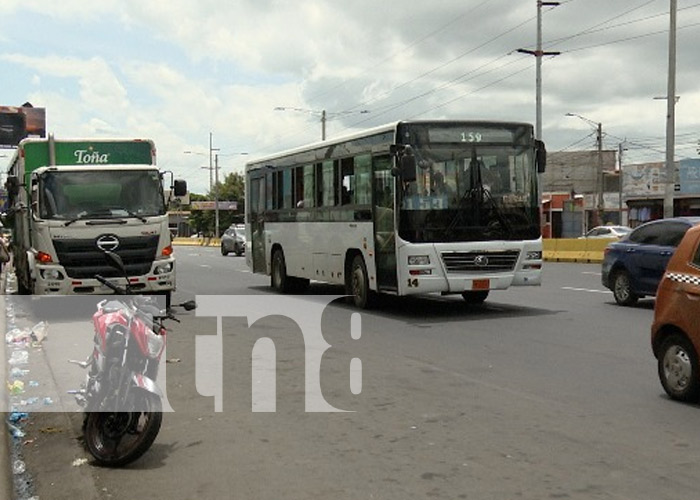 Foto: Velan por un mejor servicio de transporte en buses / TN8