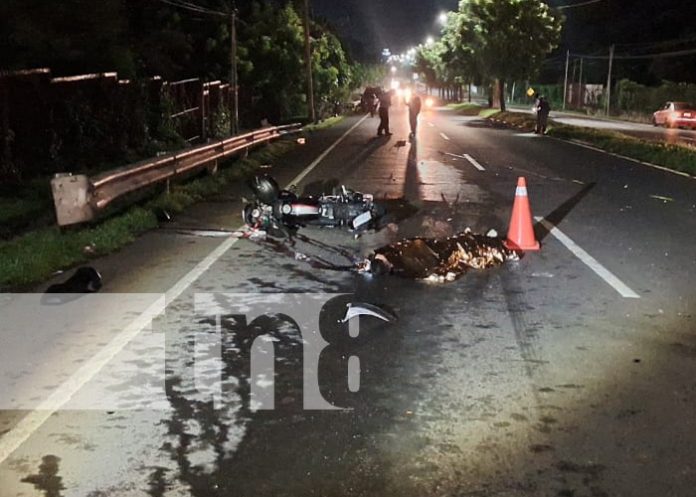 Foto: Sangriento accidente de tránsito en la Carretera Nueva a León / TN8