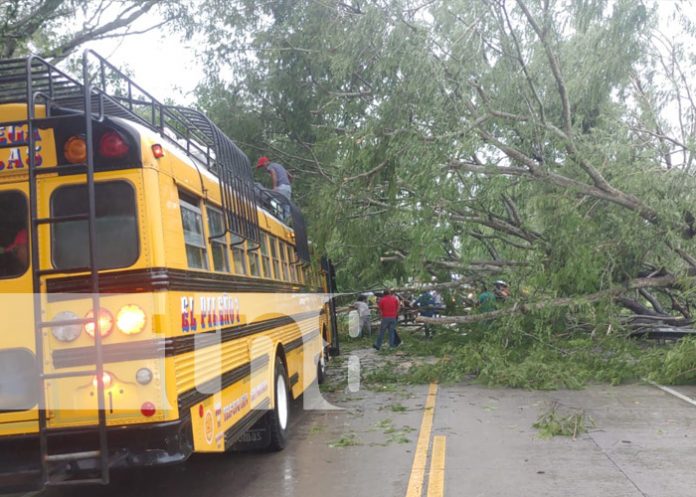 Foto: Afectaciones por lluvias en Estelí y Chinandega / TN8