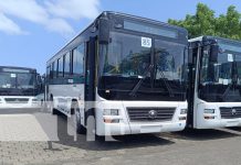 Foto: Nuevos buses para Managua / TN8