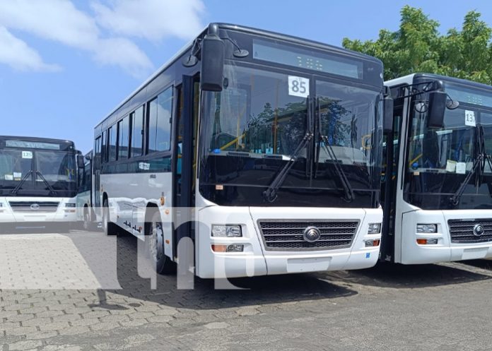 Foto: Nuevos buses para Managua / TN8