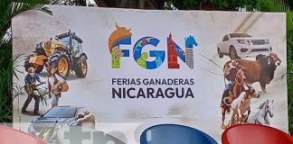 Foto: Anuncian detalles de la Feria Ganadera 2024 / TN8