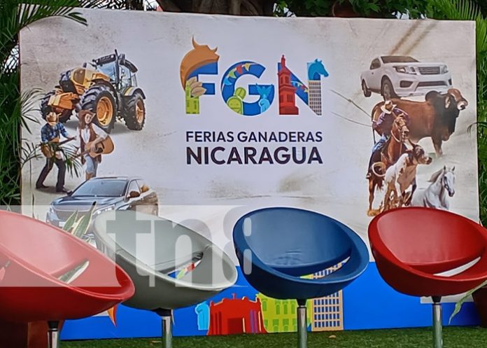 Foto: Anuncian detalles de la Feria Ganadera 2024 / TN8