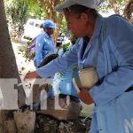 Foto: Brigadistas de Managua en su lucha contra los zancudos / TN8