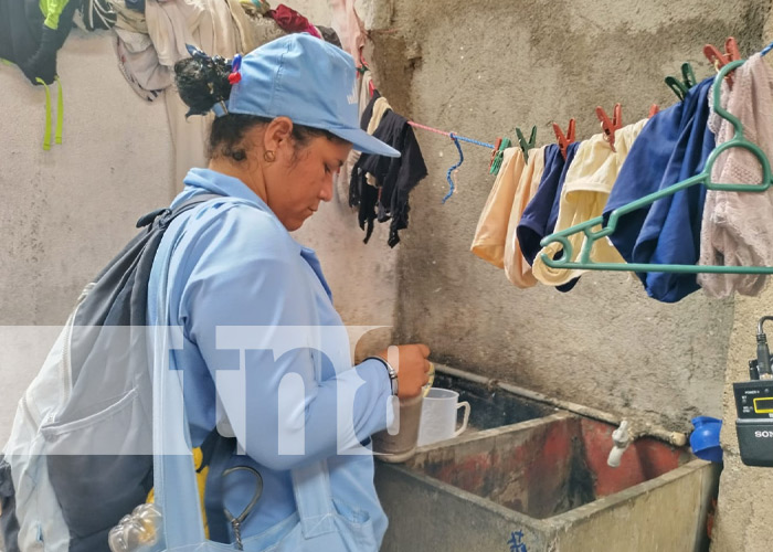 Foto: Brigadistas de Managua en su lucha contra los zancudos / TN8