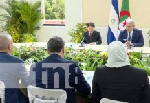 Foto: Fortalecimiento de relaciones entre Nicaragua y Argelia / TN8