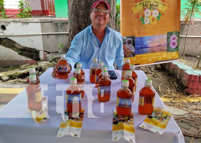 Foto: Feria de emprendimiento en Altagracia, Ometepe / TN8