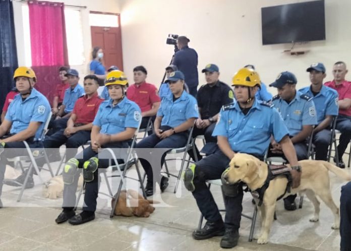 Foto: Capacitación a bomberos sobre rescate con caninos / TN8