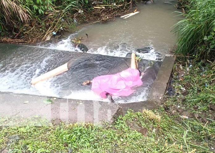 Foto: Encuentran cadáver en una quebrada de una comunidad en Jinotega / TN8