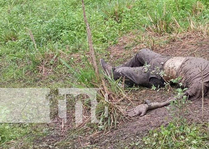 Foto: Hallan cuerpo en estado de descomposición en Cárdenas, Rivas / TN8