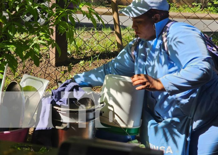 Foto: Eliminación de focos de zancudos en el Distrito III de Managua / TN8