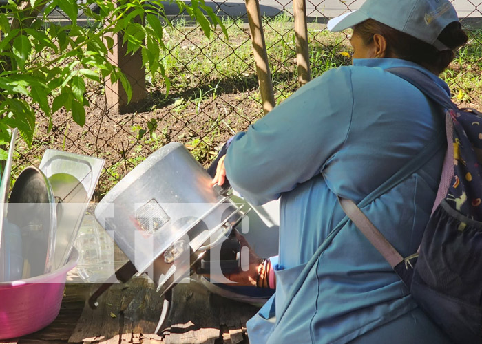 Foto: Eliminación de focos de zancudos en el Distrito III de Managua / TN8