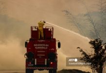 Foto: Cesan los incendios en Brasil /cortesía