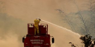 Foto: Cesan los incendios en Brasil /cortesía