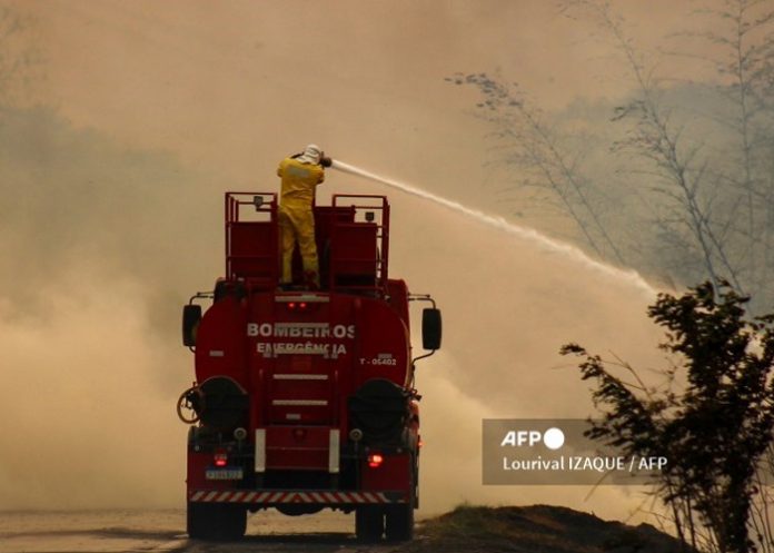 Foto: Cesan los incendios en Brasil /cortesía