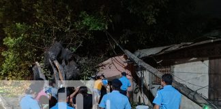 Foto: Bomberos rescatan a joven en silla de ruedas tras caída de árbol en Managua/TN8