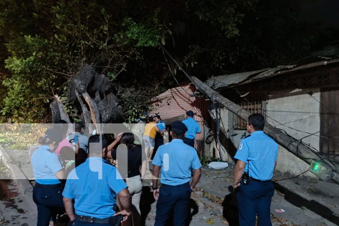 Foto: Bomberos rescatan a joven en silla de ruedas tras caída de árbol en Managua/TN8