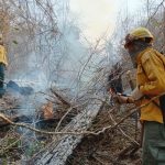 Foto: Bolivia enfrenta ola de incendios /cortesía