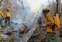 Foto: Bolivia enfrenta ola de incendios /cortesía