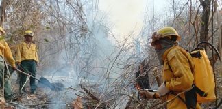 Foto: Bolivia enfrenta ola de incendios /cortesía