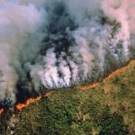 Foto: Crisis ambiental en la Amazonía /cortesía