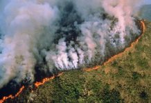 Foto: Crisis ambiental en la Amazonía /cortesía