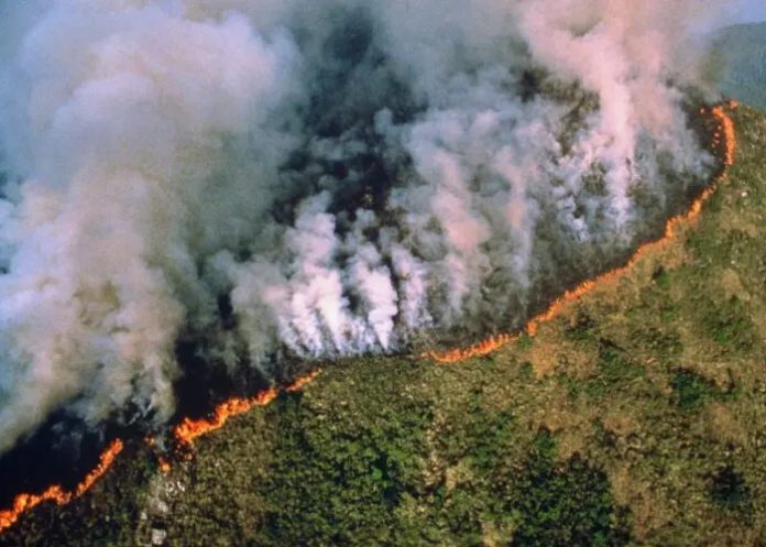 Foto: Crisis ambiental en la Amazonía /cortesía