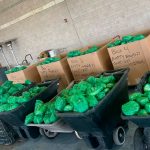 Foto: En Estados Unidos, detienen a cargamento de lechuga que contenía mil 500 kilos de metanfetamina/Cortesía