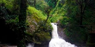 Foto: Turista italiano murió tras caer al vacío, mientras se tomaba un selfie con su novia en Indonesia/Cortesía