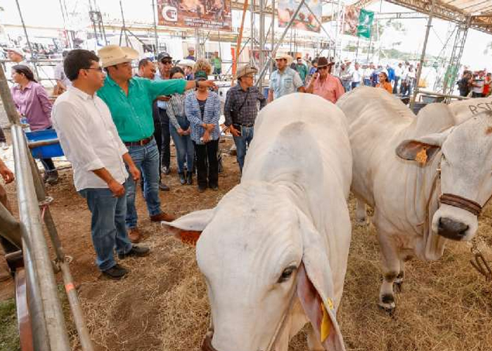 Foto: Fiestas ganaderas /cortesía 