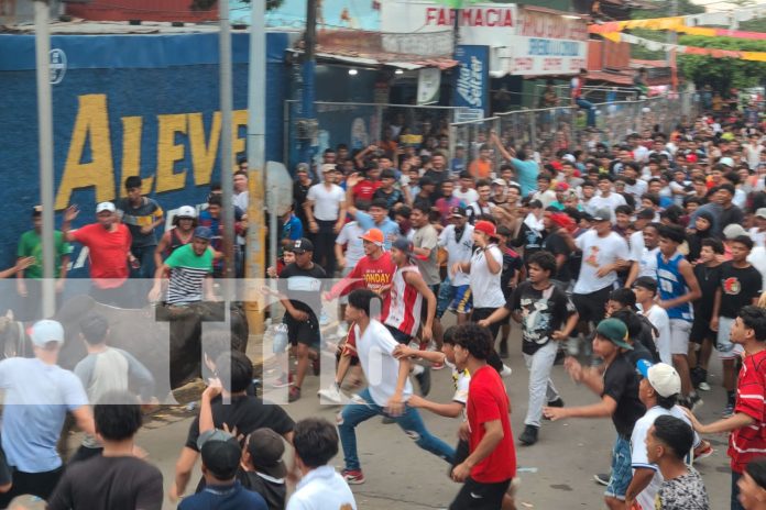 Foto: ¡Ahí viene el toro muco! Tradicional corrida de toros en el barrio San José Oriental/TN8