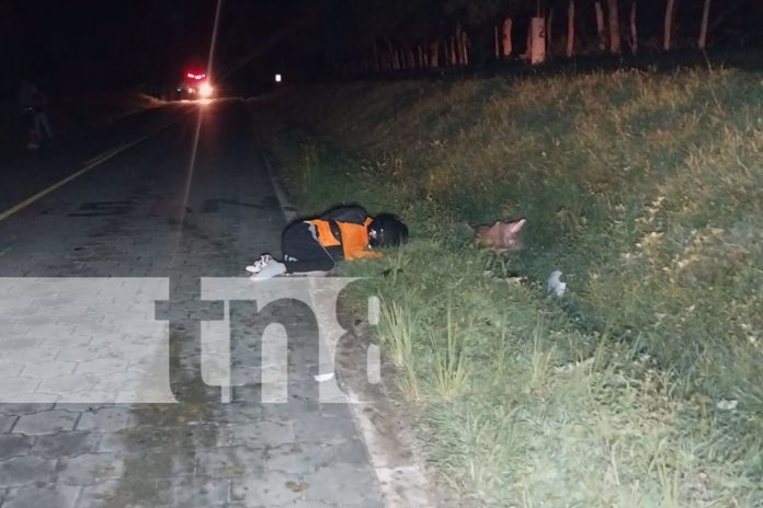 Foto: Exceso de velocidad y obstáculos en la vía: causas de accidentes en Nueva Segovia/ TN8