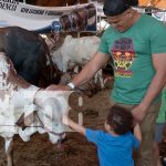 Foto: Feria Ganadera Managua 2024: Éxito rotundo y crecimiento del sector agropecuario/TN8