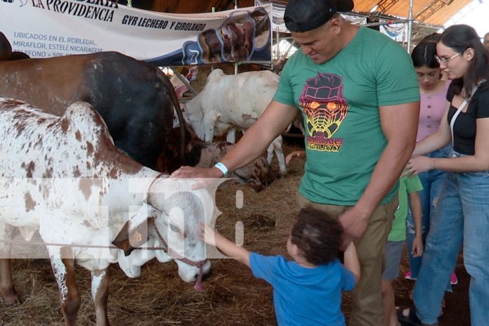 Foto: Feria Ganadera Managua 2024: Éxito rotundo y crecimiento del sector agropecuario/TN8