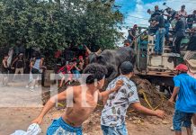 Foto: ¡Granada se desborda! Más de 45 mil personas en el espectacular tope de toros/TN8