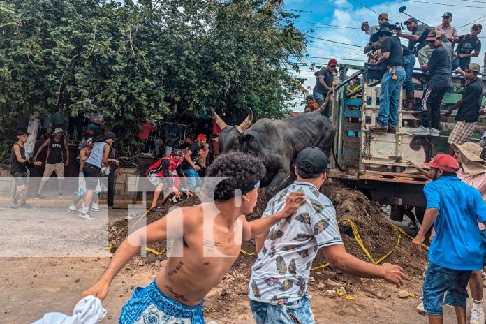 Foto: ¡Granada se desborda! Más de 45 mil personas en el espectacular tope de toros/TN8