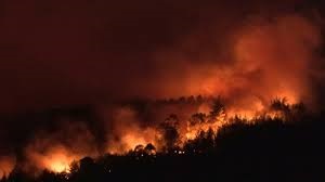 Foto: Grecia ordena nuevas evacuaciones por incendios incontrolables