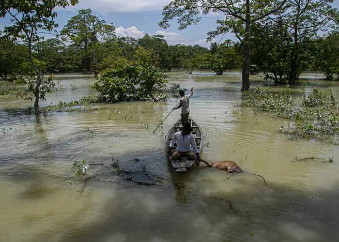 Foto: Cientos de víctimas en India y Nepal por inundaciones 