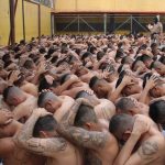 Foto: En El Salvador más de 2,000 miembros de MS-13 serán juzgados