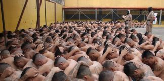 Foto: En El Salvador más de 2,000 miembros de MS-13 serán juzgados