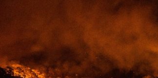 Foto: Crisis de incendios en Grecia /cortesía