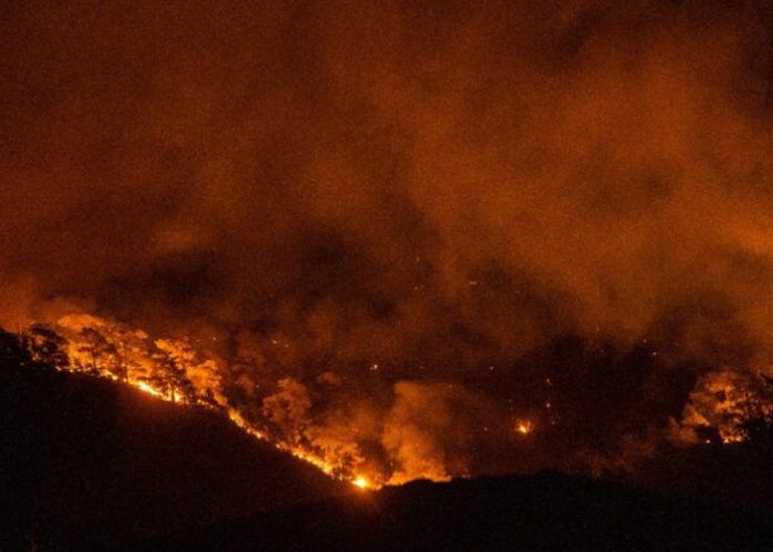 Foto: Crisis de incendios en Grecia /cortesía