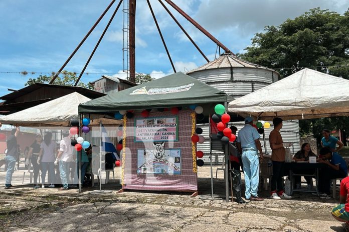 Foto: Impulsan campaña de vacunación contra la rabia en Jalapa/TN8