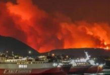 Foto: Grecia pide ayuda internacional para enfrentar incendio forestal/Cortesía