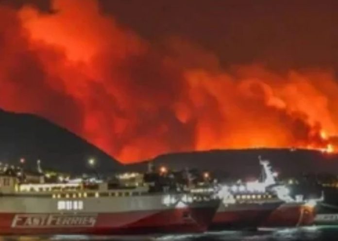 Foto: Grecia pide ayuda internacional para enfrentar incendio forestal/Cortesía