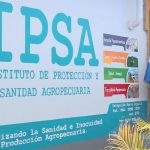 Foto: Avances en el control del gusano barrenador del ganado según informe IPSA / Cortesía