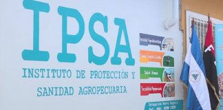 Foto: Avances en el control del gusano barrenador del ganado según informe IPSA / Cortesía