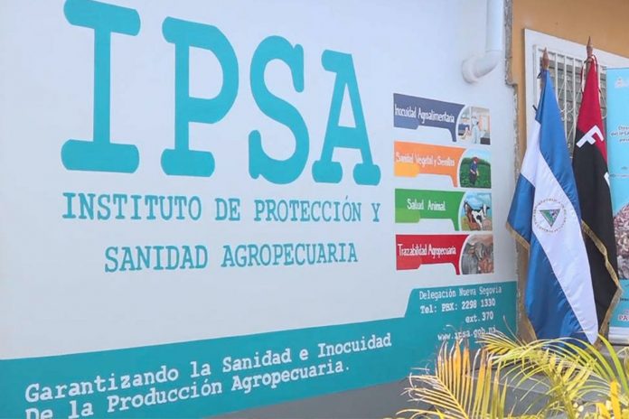 Foto: Avances en el control del gusano barrenador del ganado según informe IPSA / Cortesía